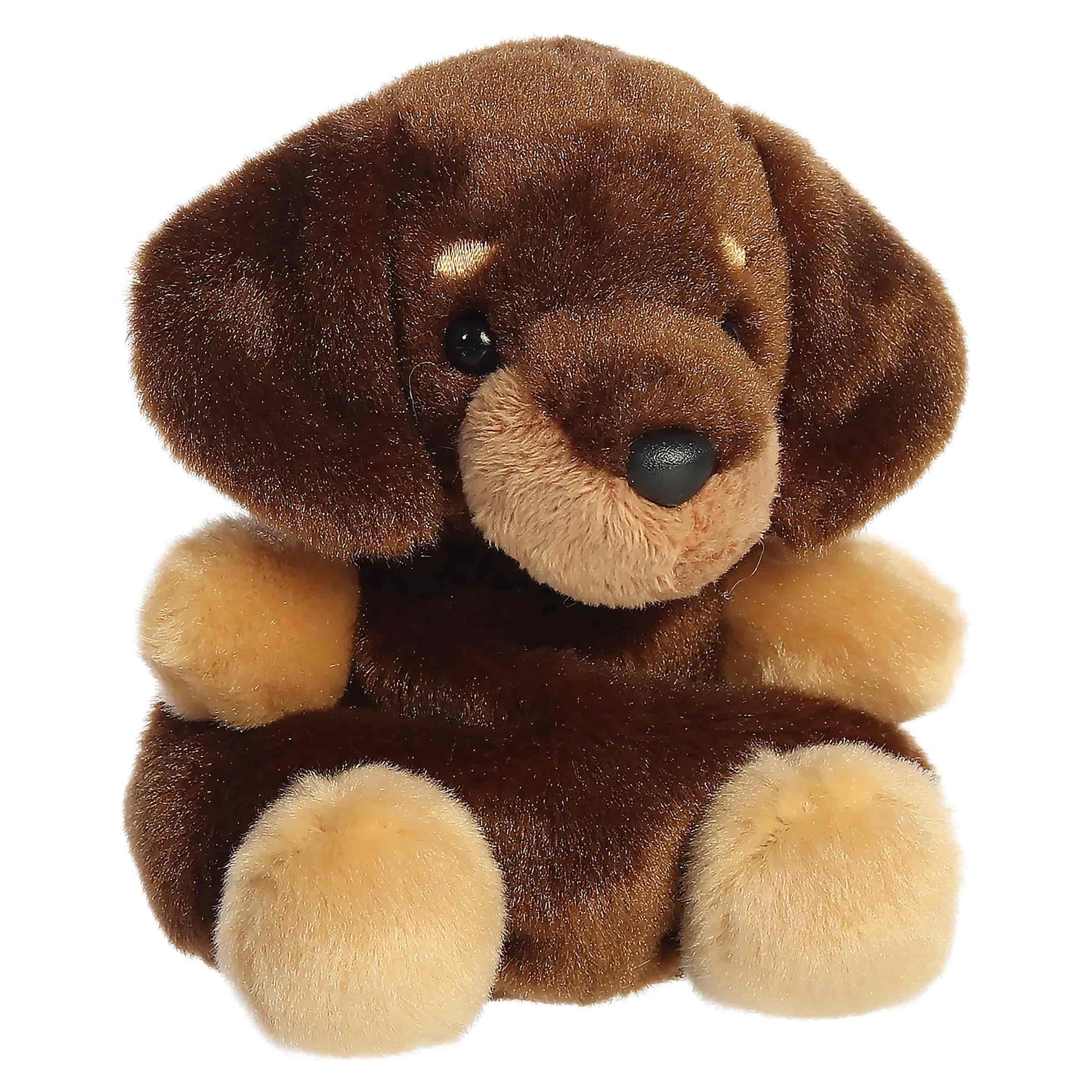 Aurora Adorable Palm Pals Houdini Dachshund Stuffed Animal - Fun Collectible Plush for Kids and Adult Collectors - Perfect for Decorating Rooms