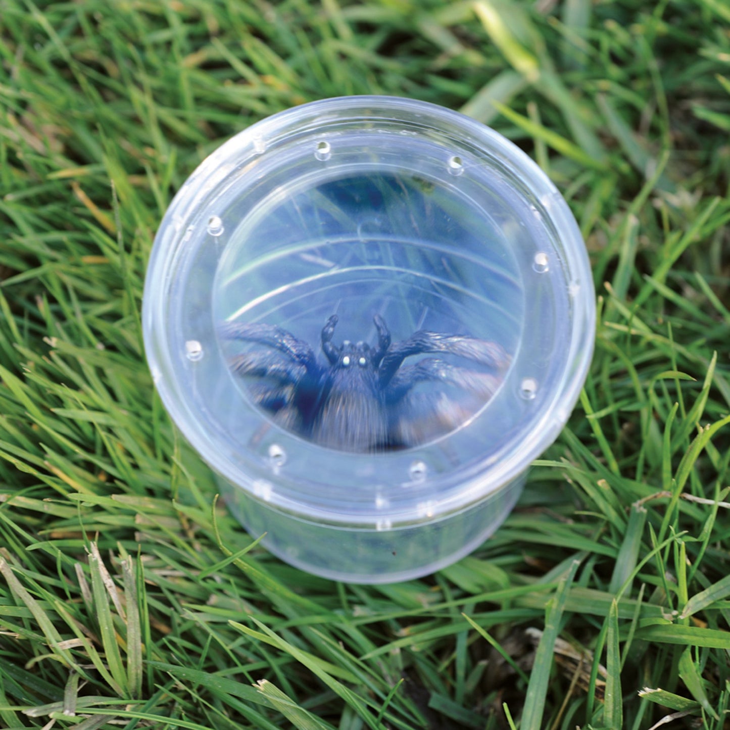 Educational Insights GeoSafari Bug Viewer, Catch & Watch Bugs, Outdoor Play For Ages 4+