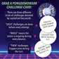 MindWare Pongdemonium Party Game - Fast-Paced Action Challenge with Timer, Bouncing Ball & 55 Cards - Hilarious Hot Potato-Style Game for Ages 6+, 2+