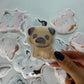 Buddy & Barney: Bath Time Stickers - Muddy Paws - 15 Color-Changing Foam Pieces, Dog & Cat Characters, Suction Cup Mesh Bag, Water Play Toy, Kids 3+