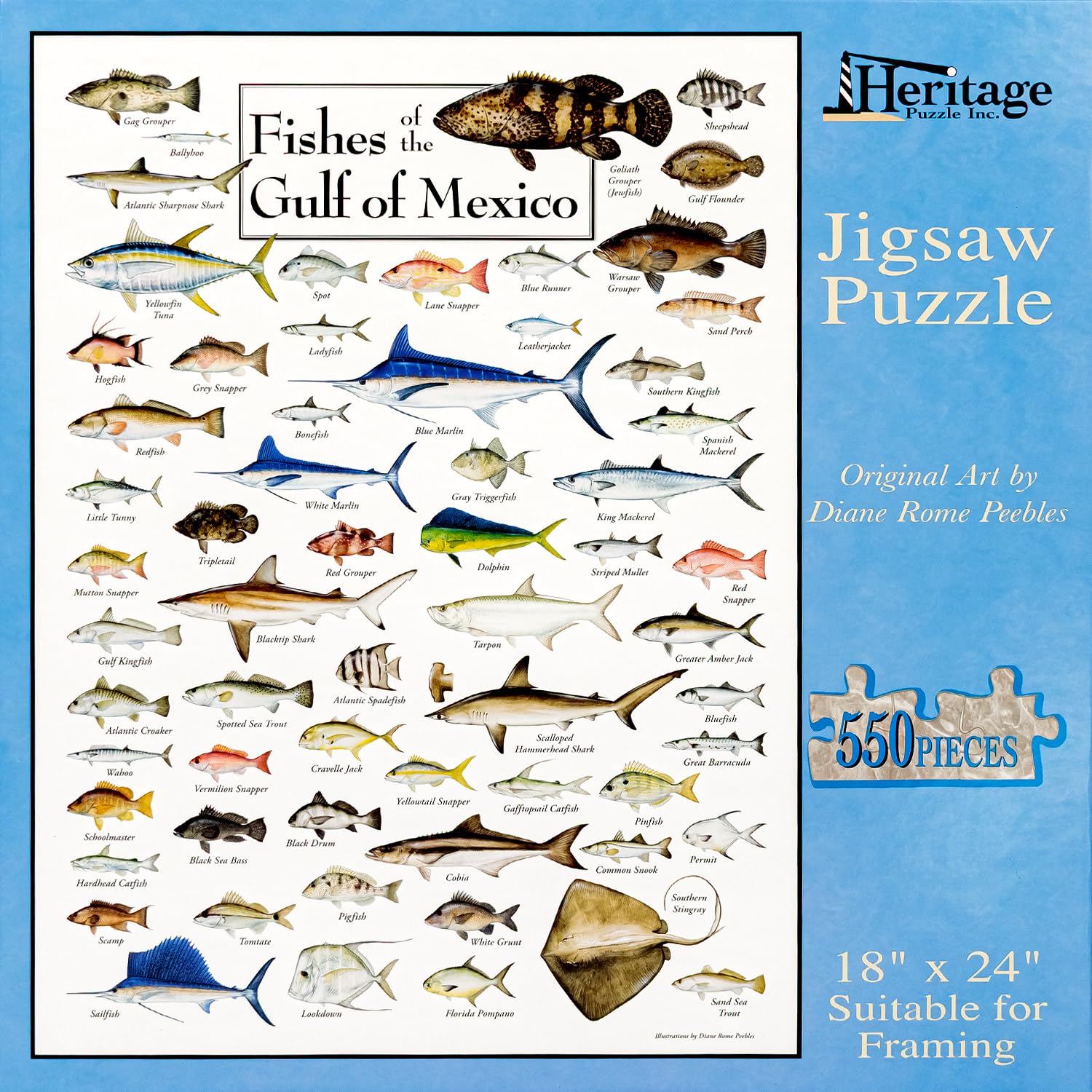 Heritage Puzzle Fishes of The Gulf of Mexico by Diane Peebles 550 Pieces
