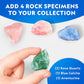 National Geographic Light-Up Dinosaur Terrarium Science Kit for Kids