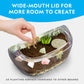 National Geographic Light-Up Dinosaur Terrarium Kit for Kids Ages 6+