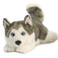 Aurora Miyoni 11" Husky Lying Realistic Stuffed Animal