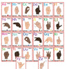ASL Flash Cards for Kids&Teachers, 36 American Sign Language Learning Kit with Gestures,Alphabet,Numbers,Sight Words,Montessori ASL Bundle