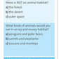 Melissa & Doug Smarty Pants 1st Grade Card Set - 120 Educational, Brain-Building Questions, Puzzles, and Games