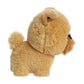 Aurora - Teddy Pets - 7" Griffon Bruxellois