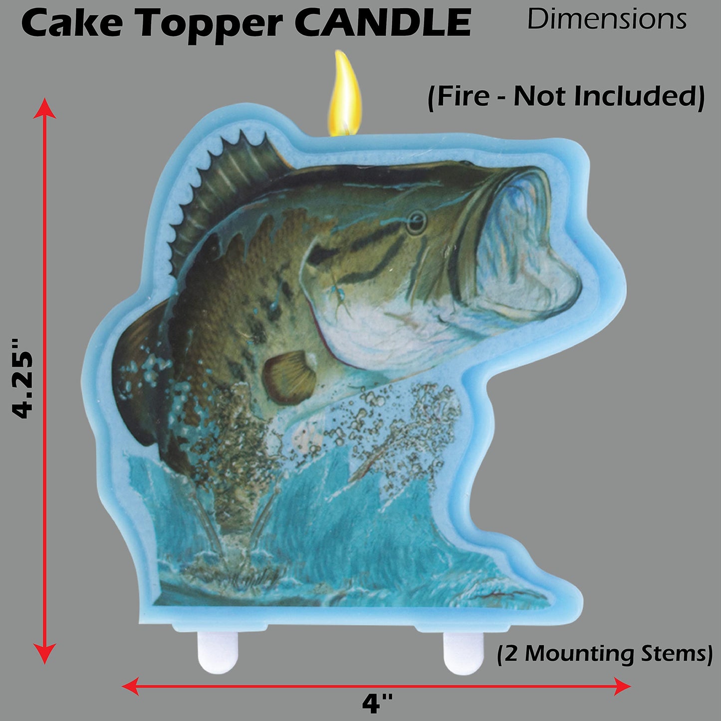 Havercamp Gone Fishing Birthday Party Premium Decorations Kit! Includes: Birthday Banner, Bass Centerpiece, 6 Bass Balloons, 12 Photo Props, 1 Cake