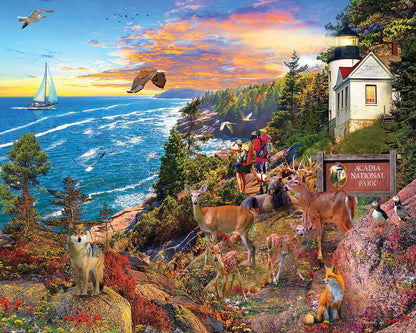 White Mountain 1000 Piece Jigsaw Puzzle, Acadia National Park