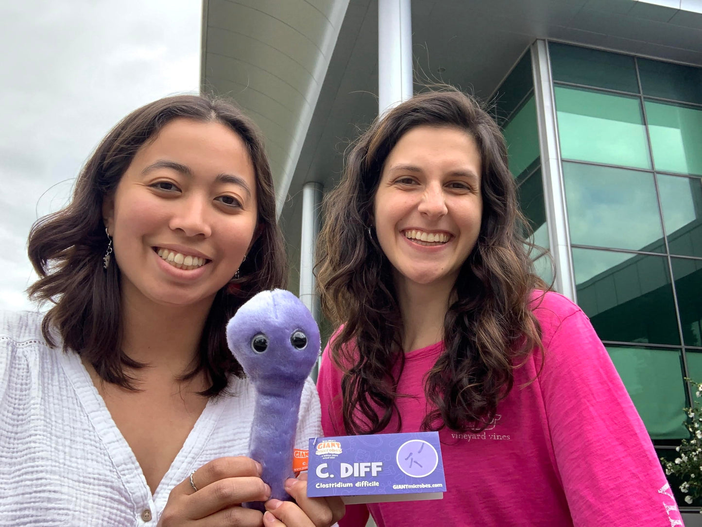 GIANT MICROBES C. Diff Plush, Public Health, Science Teacher Gifts, Pharmacists Gifts, Infectious Disease Doctor Gift, Nurse Practitioner