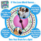 Wordplay - The Ultimate Fast-Paced Word Challenge Board Game for Family & Friends - Adult & Family Game Night Fun