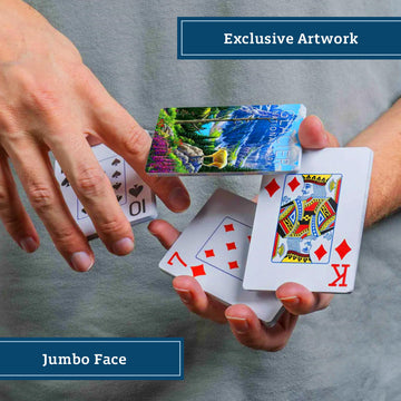 Boardwalk Puzzles Glacier National Park, Featherlight Unique Playing Cards, Fun Themed Deck for Home and Travel