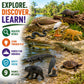 Safari Ltd. Everglades TOOB - 11 Mini Figurines: Manatee, Alligator, Turtle & More - Educational Toy Set for Boys, Girls & Kids Ages 3+