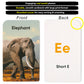 Award-Winning Flash Cards for Preschool & Kindergarten - 5-Deck Set, 180 Jumbo Cards - Learn Alphabet, Numbers, Colors, Shapes, First Words, Opposites