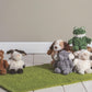 Mary Meyer Stuffed Animal Again Friends Soft Toy, 6-Inches, Sprouts Teddy