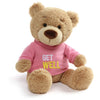 GUND Get Well T-Shirt Message Teddy Bear Stuffed Animal Plush, Pink, 12.5"