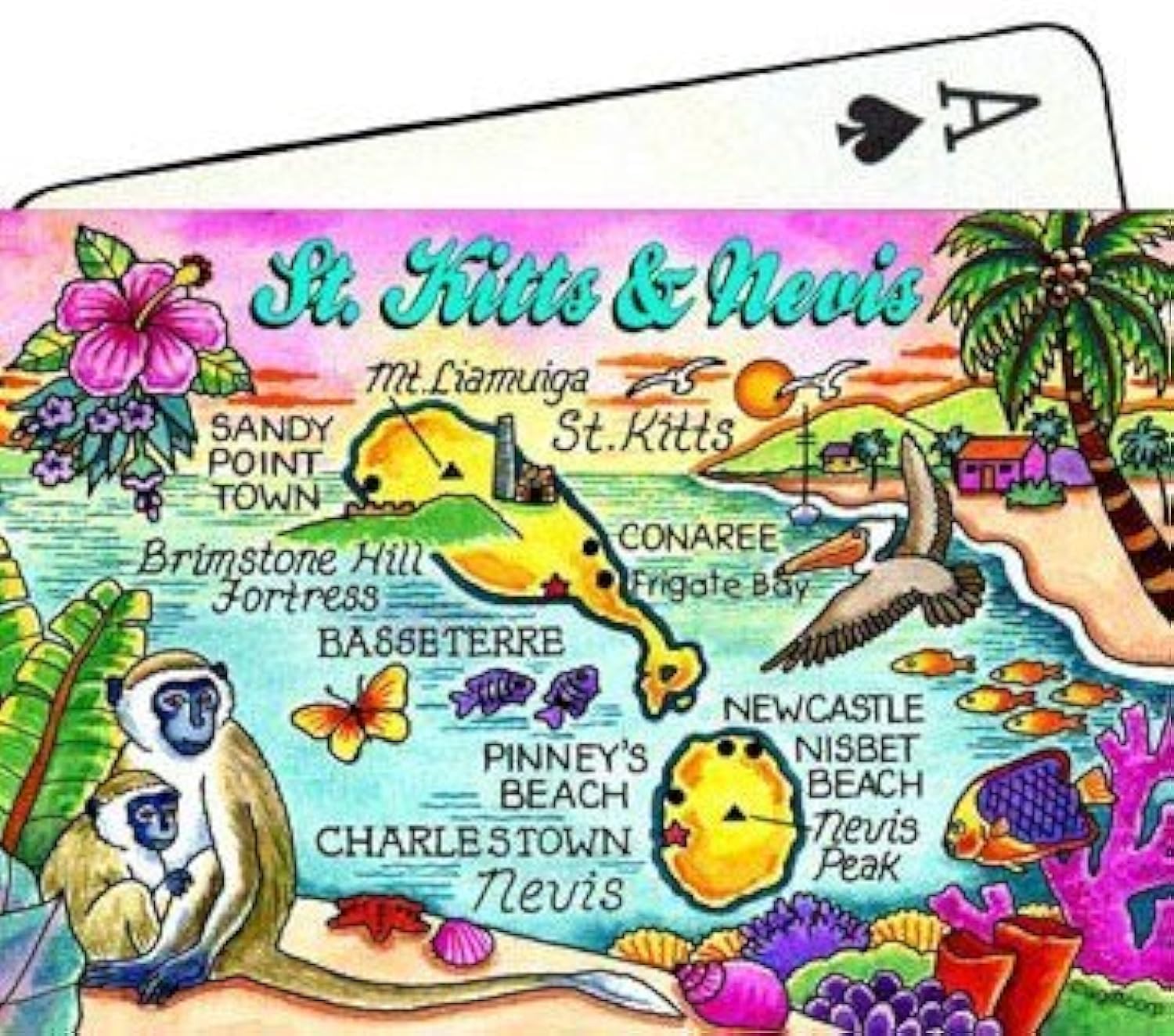World By Shotglass St. Kitts & Nevis Map Collectible Souvenir Playing Cards