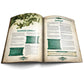 Dragonbane: RPG Quickstart Guide - RPG Booklet, Free League Publishing, Introductory Story,Green