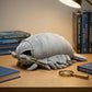 Tiny Heart Simulation Giant Isopod Soft Stuffed Plush Toy 12" Long, Cute Giant Isopod Plush Toy, Birthday Gifts and Soft for Kids Boys Girls, Lifelike