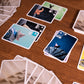Pandasaurus Games Sea Salt and Paper Card Game - Ocean-Themed Strategy Game, Fast-Paced and Tactical, Fun Family Game for Kids and Adults, Ages 8+