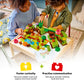 LEGO DUPLO Town Discovery Forest with Wild Animals 10480