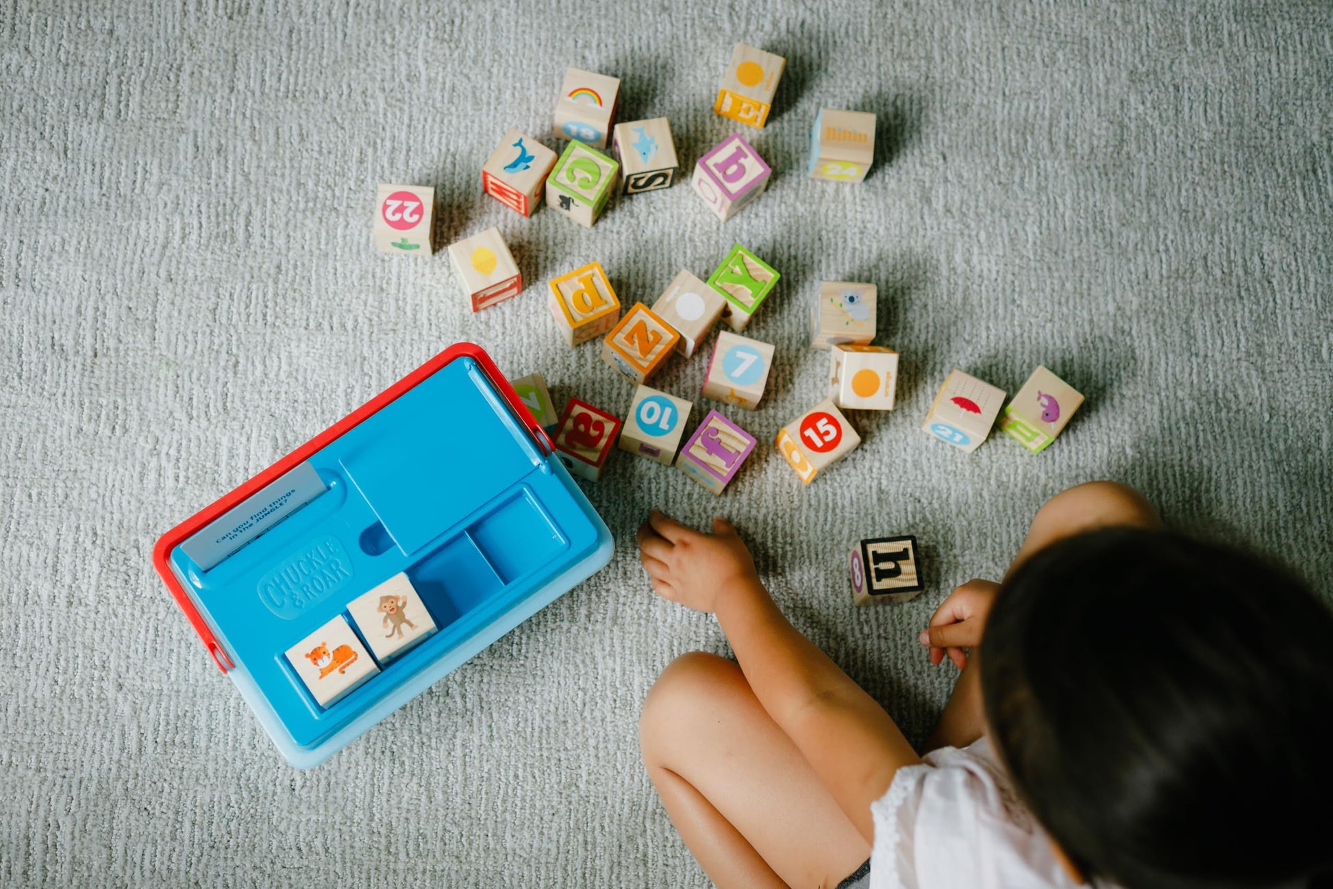 Chuckle & Roar - Learning Blocks: Alphabet Blocks & Learning Flashcards - Educational Learning Activity for preschoolers - Fun and Engaging