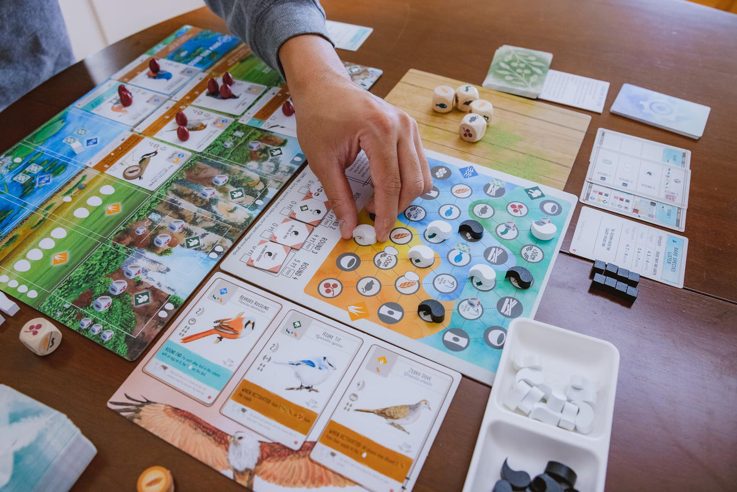 Stonemaier Games: Wingspan Asia by Elizabeth Hargrave | Standalone Game or Expansion to Wingspan | A Relaxing Game About Collecting Birds | Add