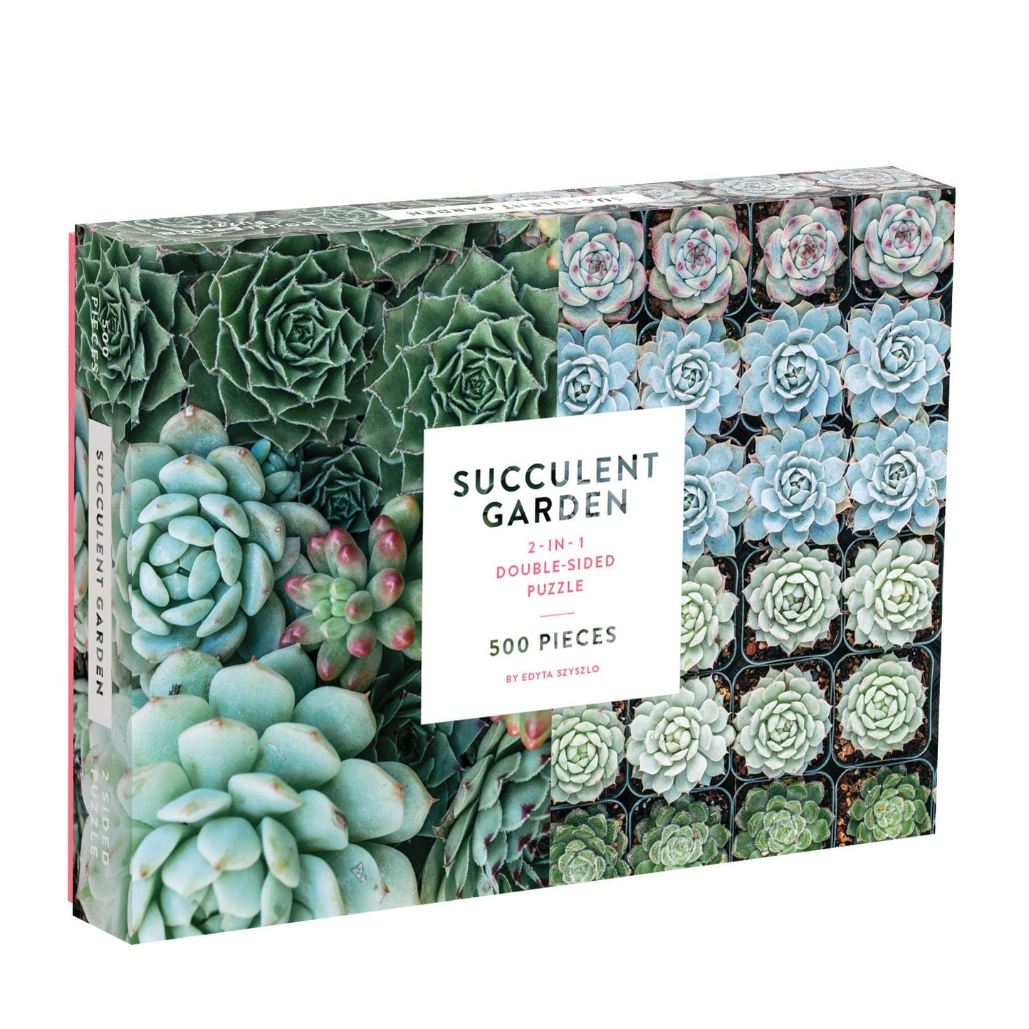 Galison Succulent Garden 500 Piece Double Sided Jigsaw Puzzle for Adults and Families, Fun Family Puzzle with Plants and Succulent Theme
