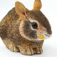 Safari Ltd Incredible Creatures Eastern Cottontail Rabbit Baby