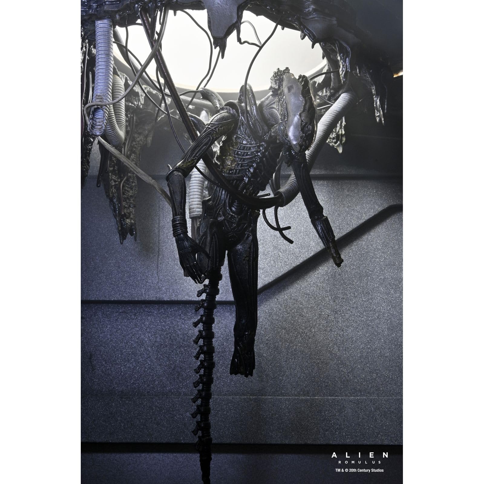 Alien: Romulus - Deluxe Suspended Lab Xenomorph XX121 7" Scale Action Figure (PRE-ORDER)