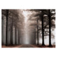 Larkipuzz Mystery Forest Landscape Puzzles for Adults 1000 Pieces, Impossible Mystic Nature Plant Jigsaw Puzzles, Hard Difficult Tree Scenic Puzzle