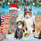 Buffalo Games - Meowy Christmas - 300 Large Piece Jigsaw Puzzle for Adults