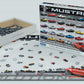 Ford Mustang Evolution