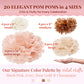 Vidal Crafts 20-Piece Boho Tissue Paper Pom Poms - Hanging Tissue Paper Flowers for Bridal Shower Decorations, Baby Shower Decorations for Girl