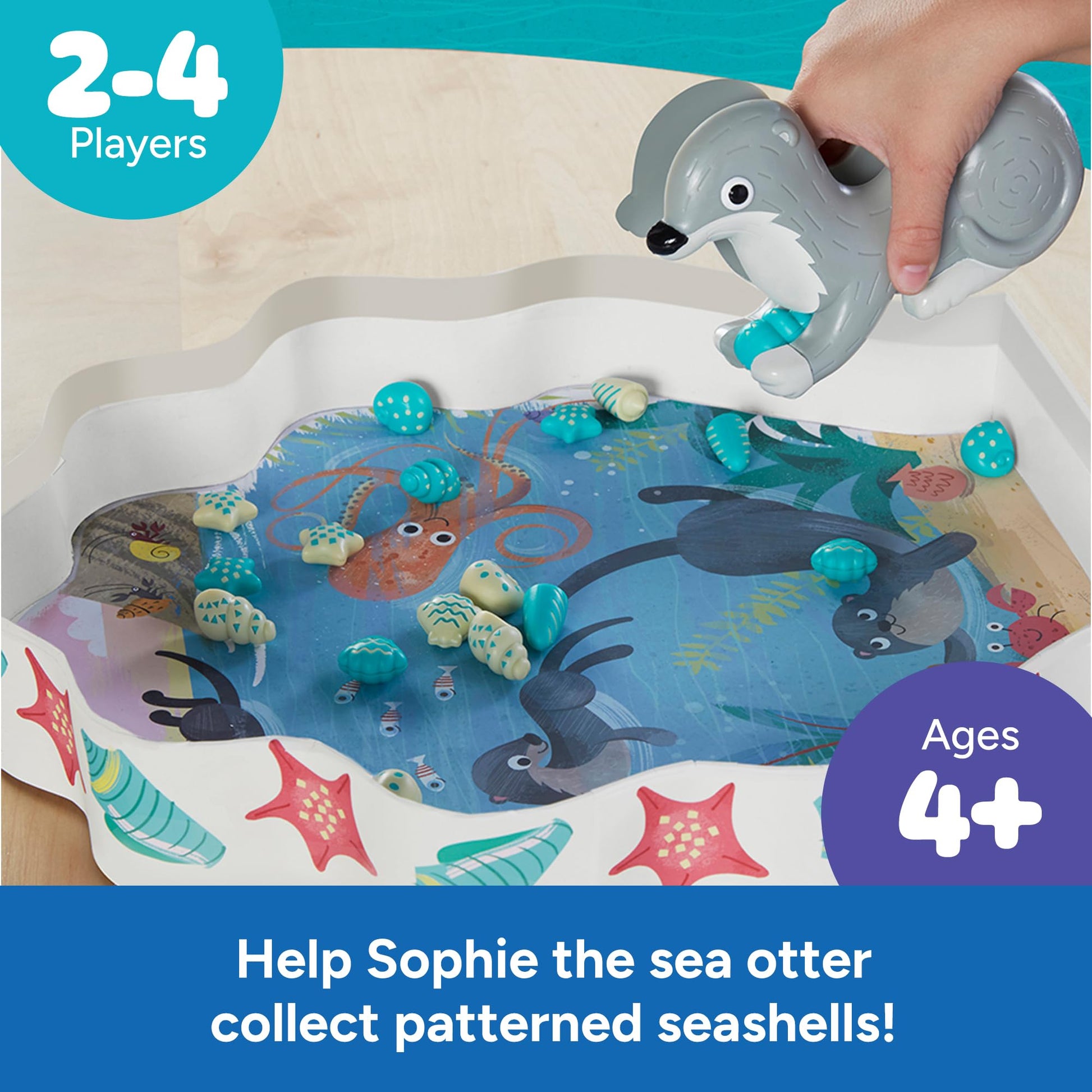 Educational Insights Sophie's Seashell Scramble - Pattern Matching Games for Toddlers 3-5, Preschool Learning Activities, Turn-Taking Board Games