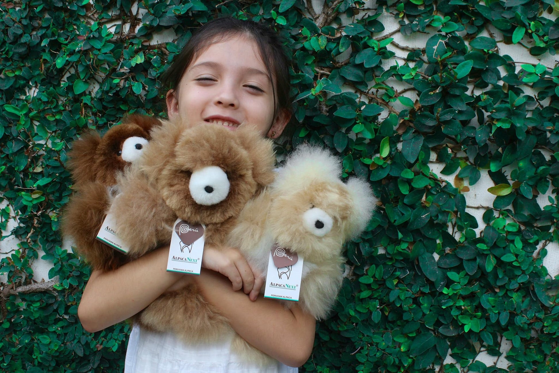 AlpacaNext Alpaca Bear Stuffed Animal Crafted in Luxury Alpaca Wool - Hypoallergenic & Ultra-Soft Toy Perfect for Cute Nursery Decor and a Huggable
