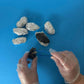Oregon Owl Pellets Dissection Kit, 6 Large Pellets with Tools and Bone Chart - Classroom Science