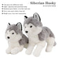 Ice King Bear Lifelike Siberian Husky Stuffed Animal - Plush Toy - 13 Inches Length (Lying)