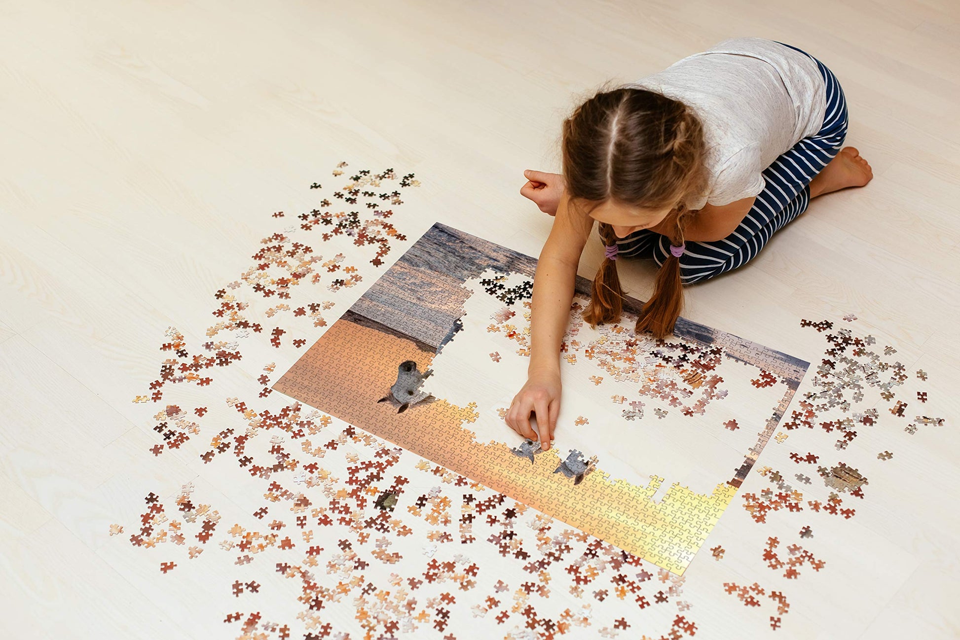 Horse Puzzle or Horse Puzzles for Adults 1000 Piece Horses Puzzle Frame with Fun Fact Poster & Reference Poster, Large Puzzle Galloping Horses on