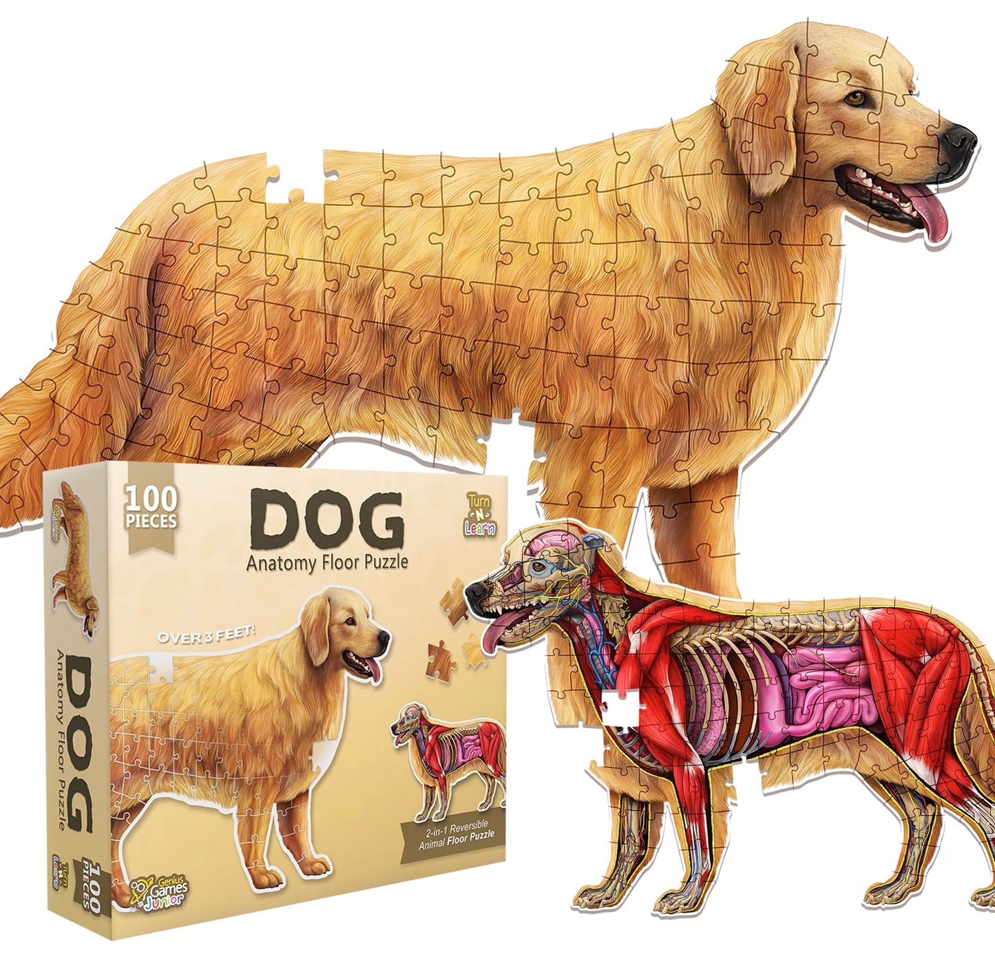 Dog Animal Anatomy Floor Puzzle | 100-Piece Double-Sided Jigsaw Puzzle | Large Floor Puzzle for Kids Ages 4-8, 3-5, 8-10 | Fun and Educational STEM