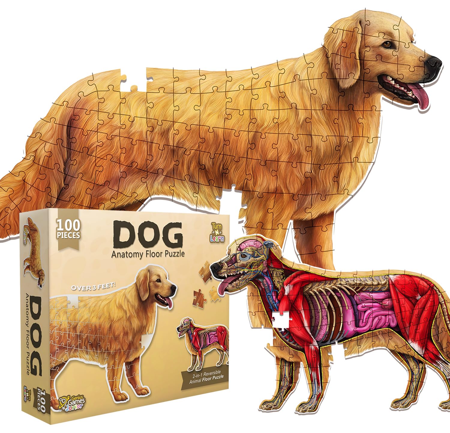 Dog Animal Anatomy Floor Puzzle | 100-Piece Double-Sided Jigsaw Puzzle | Large Floor Puzzle for Kids Ages 4-8, 3-5, 8-10 | Fun and Educational STEM