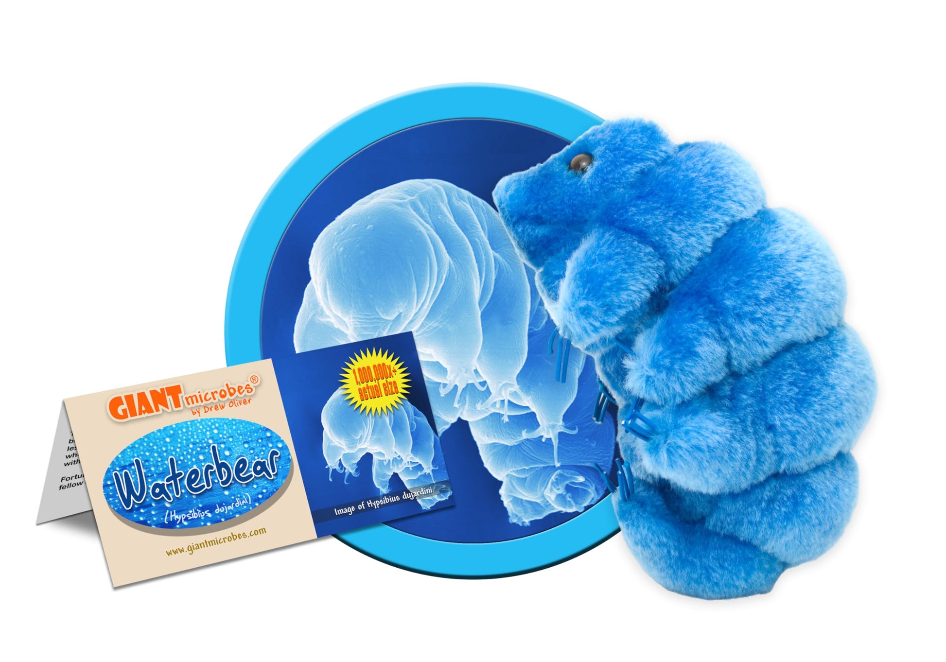 GIANT MICROBES Tardigrade Plush, Waterbear Plush Toy, Biology Gifts, Science Gift, Tardigrade Gifts, Marine Biologist, STEM Toys, Laboratory Decor