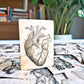 55 pcs Anatomy Vinyl Sticker Pack- Vintage Human Anatomy and Physiology Study Tools of Body Organs, Muscles, Soft Tissues, Medical Gifts for Biology