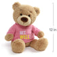 GUND Get Well T-Shirt Message Teddy Bear Stuffed Animal Plush, Pink, 12.5"
