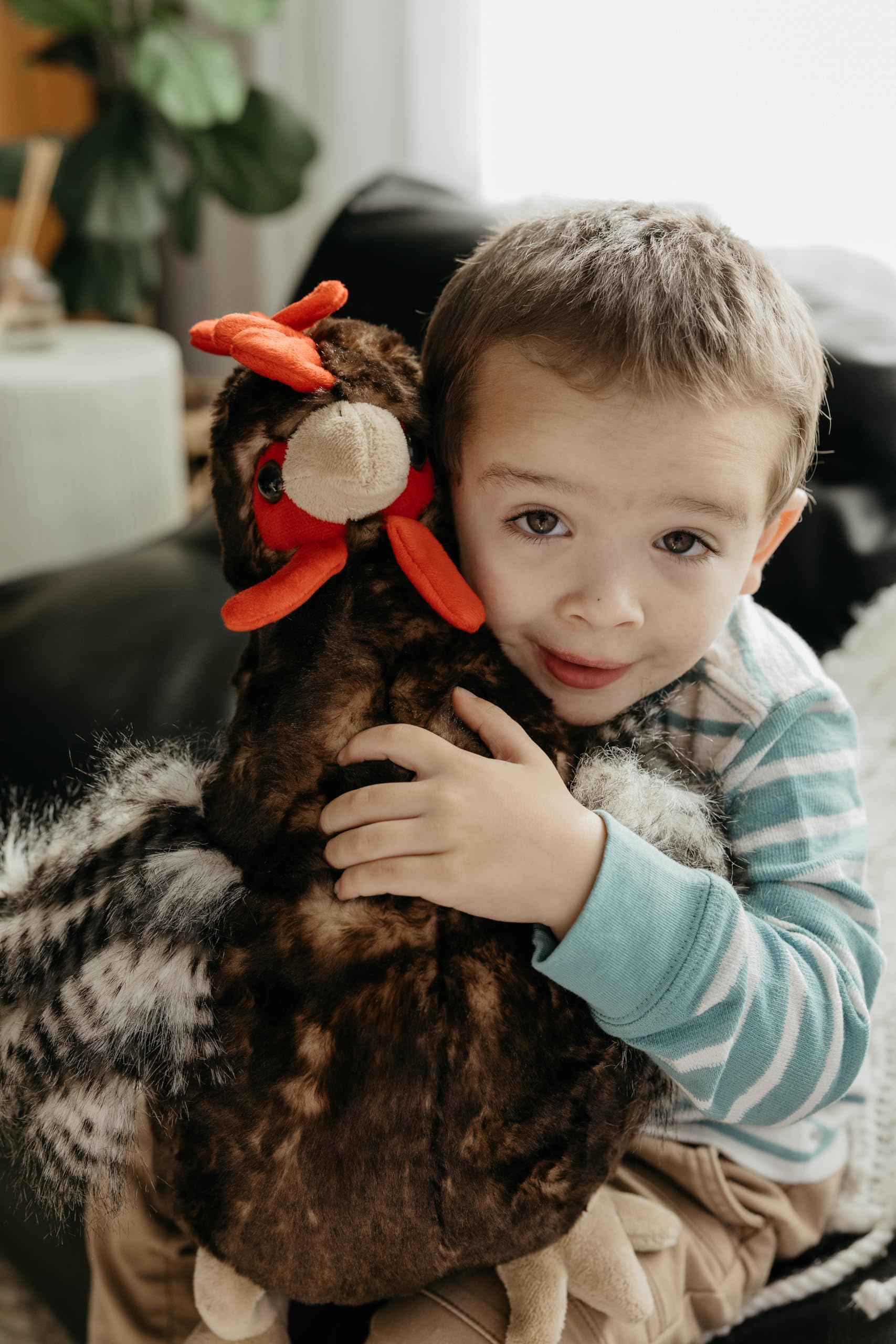 The Petting Zoo Chicken Stuffed Animal Plushie, Gifts for Kids, Wild Onez Farm Animals, Chicken Plush Toy 12 inches