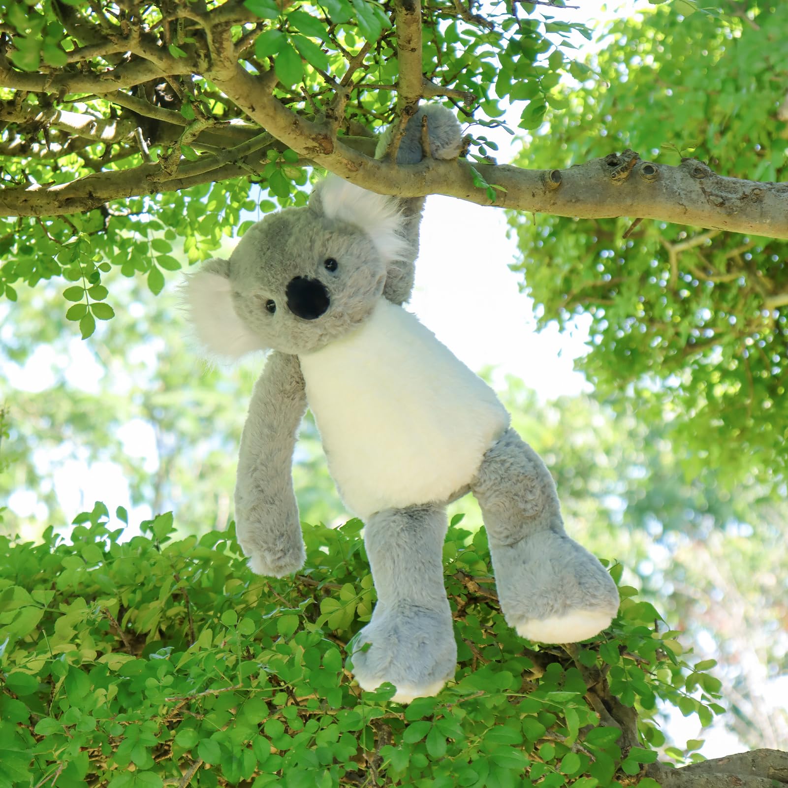 Apricot Lamb Toys Plush Gray Koala Soft Stuffed Animal 9''