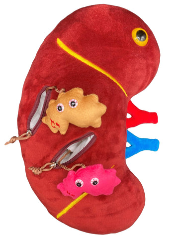 GIANTmicrobes Deluxe 12" Kidney Plush with Kidney Stones, Kidney Stuffed Animal, Kidney Transplant Gifts, Kidney Donor Gifts, Kidney Pillow, Urology