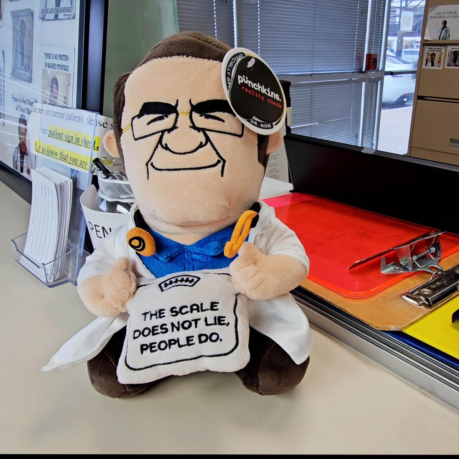 Punchkins Dr. Now-Inspired Plush Toy - Funny Doctor-Themed Stuffed Figure, Soft Novelty Gift