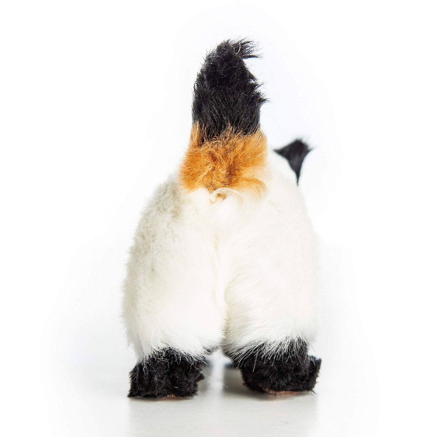 The Queen's Treasures 18 Inch Doll Pets, Siamese Kitty Cat is The Perfect Furry Companion, Doll Toy Compatible with American Girl Dolls