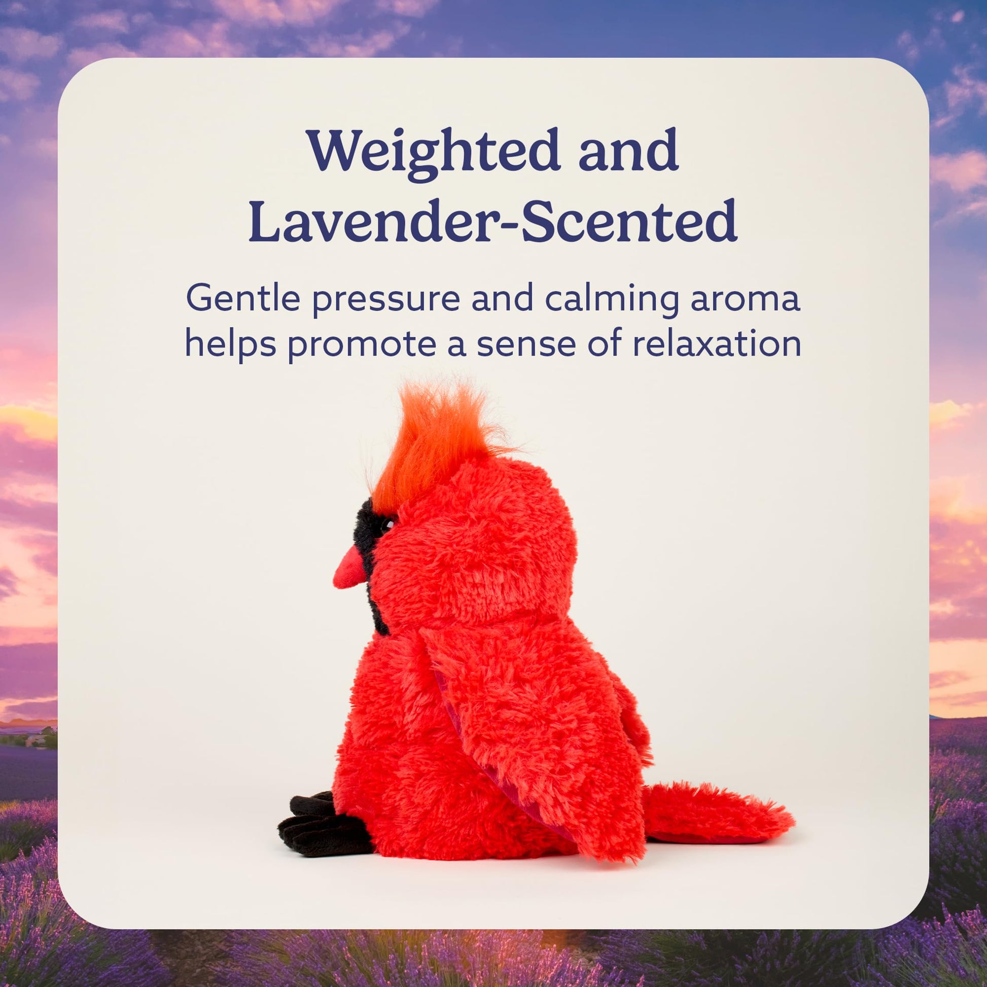 warmies Microwavable & Weighted Stuffed Animals, Red Cardinal - Heated Stuffed Animal Plushie for Warmth & Comfort - Cute Soft Plush Toys for Adults